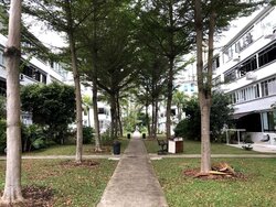 Twin Regency (D3), Condominium #457447761